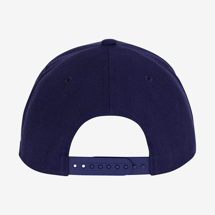 Icon Red, White and Blue 6-Panel Flat Cap